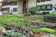 Bauernhäuser mit ihren traditionsreichen Gärten - Genussspaziergang